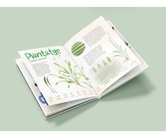 QUI HA DIT MALES HERBES! 4