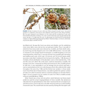 CROSSBILLS & CONIFERS. ONE MILLION YEARS OF ADAPTATION AND COEVOLUTION_1