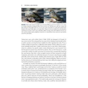 CROSSBILLS & CONIFERS. ONE MILLION YEARS OF ADAPTATION AND COEVOLUTION 5