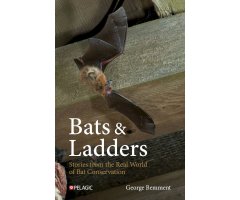 BATS & LADDERS STORIES FROM THE REAL WORLD OF BAT CONSERVATION