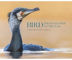 BIRD PHOTOGRAPHER OF THE YEAR, COLLECTION 10