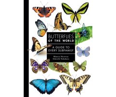 BUTTERFLIES OF THE WORLD. A GUIDE TO EVERY SUBFAMILY