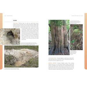 THE EUROPEAN ANIMAL TRACKS HANDBOOK 3