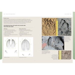 THE EUROPEAN ANIMAL TRACKS HANDBOOK 4