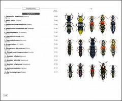 COLÉOPTÈRES D\'EUROPE SCARABÉES, HANNETONS, STAPHYLINS. HYDROPHILES VOL. 2 POLYPHAGA 4