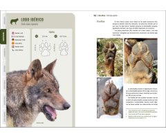 GUÍA VISUAL DE HUELLAS Y RASTROS DE LA FAUNA DE ESPAÑA Y RESTO DE EUROPA 3
