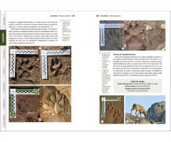 GUÍA VISUAL DE HUELLAS Y RASTROS DE LA FAUNA DE ESPAÑA Y RESTO DE EUROPA 4