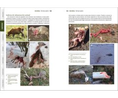 GUÍA VISUAL DE HUELLAS Y RASTROS DE LA FAUNA DE ESPAÑA Y RESTO DE EUROPA 5