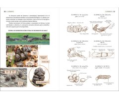 GUÍA VISUAL DE HUELLAS Y RASTROS DE LA FAUNA DE ESPAÑA Y RESTO DE EUROPA 9