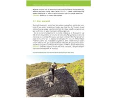 CATÀLEG DE ROQUES I AGULLES MONOLÍTIQUES DELS TURONS DE L\'ESCLETXA I DE MONTCONILL 3