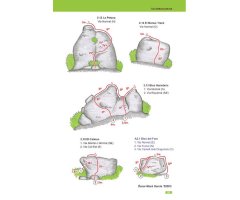 CATÀLEG DE ROQUES I AGULLES MONOLÍTIQUES DELS TURONS DE L\'ESCLETXA I DE MONTCONILL 4