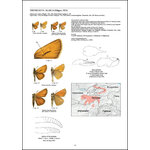 GUIDE TO THE BUTTERFLIES OF THE PALEARCTIC REGION. HESPERIIDAE PART II_1