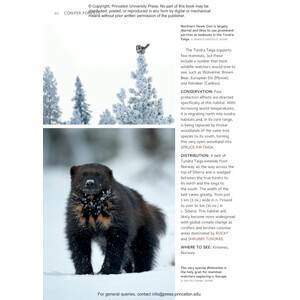 HABITATS OF EUROPE: A FIELD GUIDE FOR BIRDERS, NATURALISTS, AND ECOLOGISTS 6