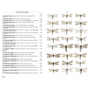 NEUROPTEROIDS OF EUROPE, NEUROPTERA, TRICHOPTERA, PLECOPTERA, MECOPTERA, MEGALOPTERA AND RAPHIDIOPTERA 4