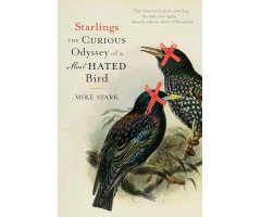 STARLINGS, THE CURIOUS ODYSSEY OF A MOST HATED BIRD 