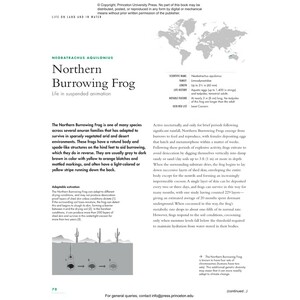 THE LIVES OF FROGS. A NATURAL HISTORY 3