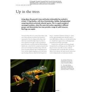 THE LIVES OF FROGS. A NATURAL HISTORY 4