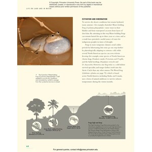 THE LIVES OF FROGS. A NATURAL HISTORY 5