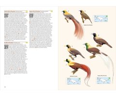 BIRDS OF NEW GUINEA. 2ND EDITION_1