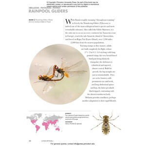 DRAGONFLIES AND DAMSELFLIES OF THE WORLD. A GUIDE TO THEIR DIVERSITY 3