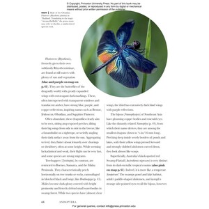 DRAGONFLIES AND DAMSELFLIES OF THE WORLD. A GUIDE TO THEIR DIVERSITY 4