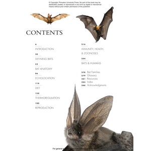 THE LIVES OF BATS. A NATURAL HISTORY_1