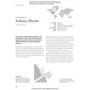 THE LIVES OF BATS. A NATURAL HISTORY 3