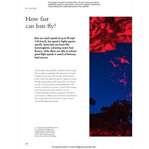 THE LIVES OF BATS. A NATURAL HISTORY 6