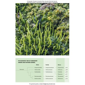MOSSES, LIVERWORTS, AND HORNWORTS OF THE WORLD. A GUIDE TO EVERY ORDER 3
