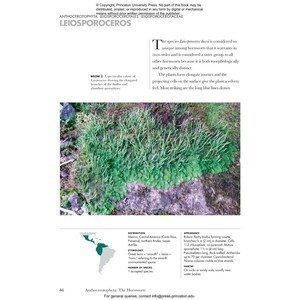 MOSSES, LIVERWORTS, AND HORNWORTS OF THE WORLD. A GUIDE TO EVERY ORDER 4
