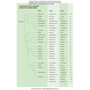 MOSSES, LIVERWORTS, AND HORNWORTS OF THE WORLD. A GUIDE TO EVERY ORDER 6