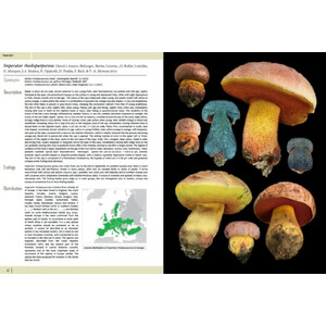 EUROPEAN BOLETES. VOL 1 4
