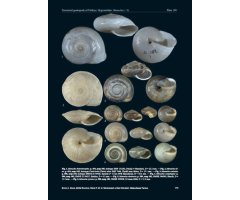 MALACOFAUNA TURCICA 4