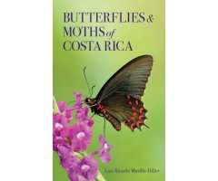 BUTTERFLIES & MOTHS OF COSTA RICA