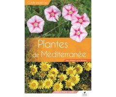 PLANTES DE MÉDITERRANÉE. DES ALBÈRES À LA RIVIERA