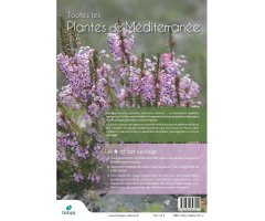 PLANTES DE MÉDITERRANÉE. DES ALBÈRES À LA RIVIERA 2