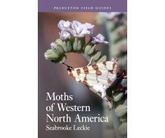 MOTHS OF WESTERN NORTH AMERICA