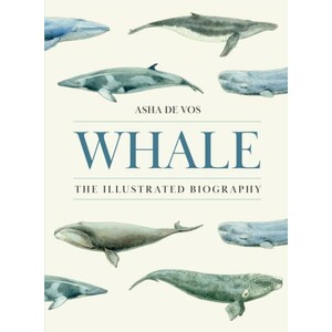 WHALE: THE ILLUSTRATED BIOGRAPHY