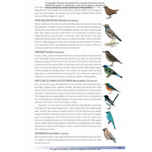 BIRDS OF INDIA. PAKISTAN, NEPAL, BANGLADESH, BHUTAN, SRI LANKA AND THE MALDIVES 4