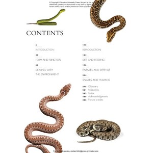 THE LIVES OF SNAKES: A NATURAL HISTORY OF THE WORLD'S SNAKES 2