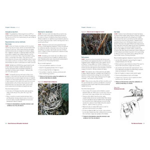 HAZEL DORMOUSE MITIGATION HANDBOOK_1