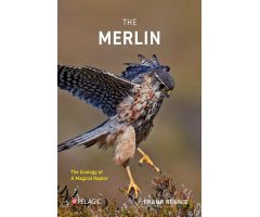 THE MERLIN. THE ECOLOGY OF A MAGICAL RAPTOR