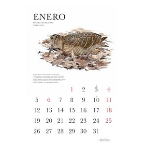 CALENDARIO DE AVES 2026_1