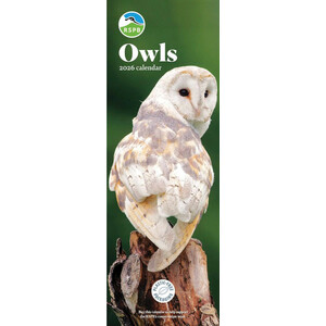 RSPB OWLS SLIM CALENDAR 2026
