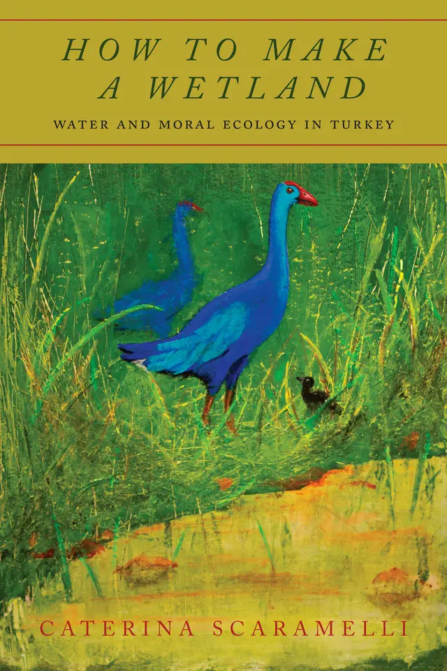 HOW TO MAKE A WETLAND: WATER AND MORAL ECOLOGY IN TURKEY
