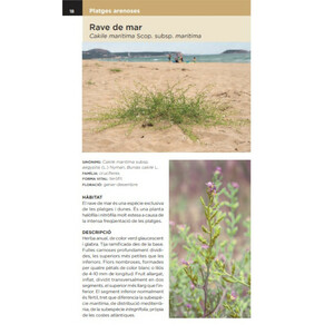 GUIA DE LA FLORA DE LES DUNES DE CATALUNYA_1