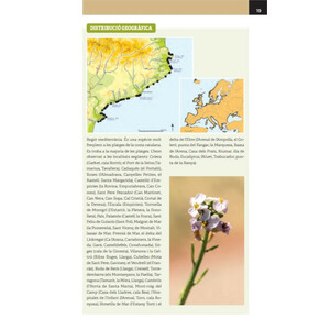 GUIA DE LA FLORA DE LES DUNES DE CATALUNYA 3