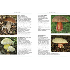 A NATURALIST'S GUIDE TO THE MUSHROOMS OF BRITAIN AND NORTHERN EUROPE_1