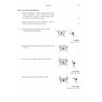 BRITISH SOLDIERFLIES AND THEIR ALLIES_1