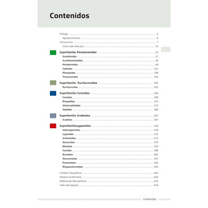 CHINCHES PENTATOMORFAS DE LA PENÍNSULA IBÉRICA_1